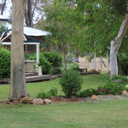 Rosebank Homestead And Farmstay Dalby Kültér fotó