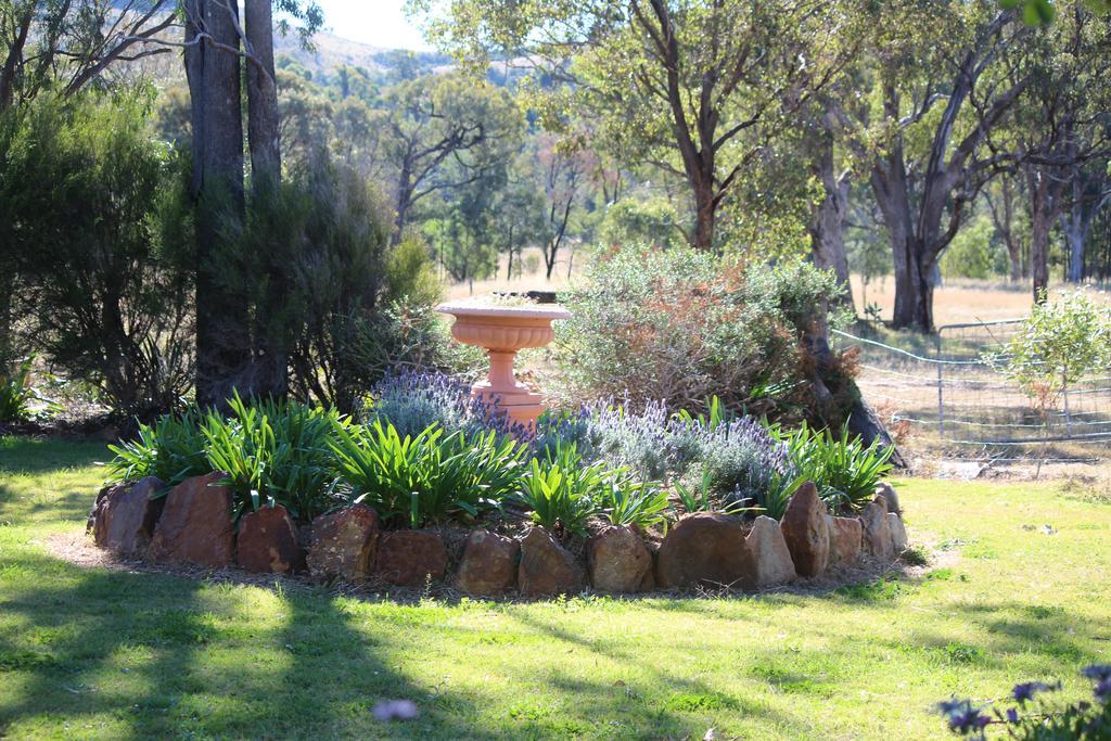 Rosebank Homestead And Farmstay Dalby Kültér fotó