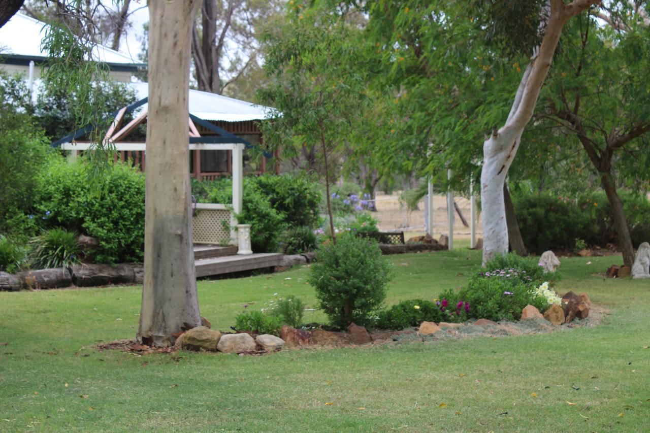 Rosebank Homestead And Farmstay Dalby Kültér fotó