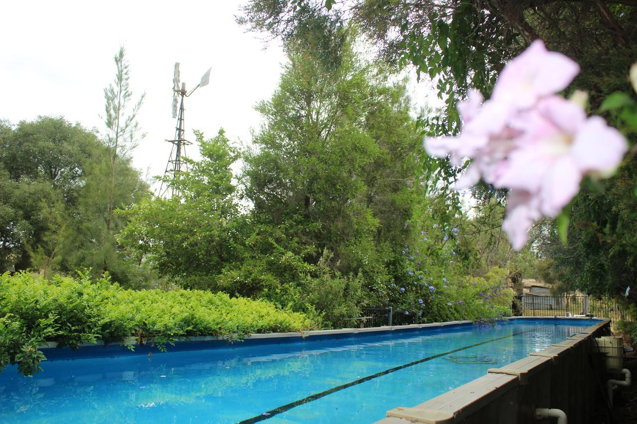 Rosebank Homestead And Farmstay Dalby Kültér fotó